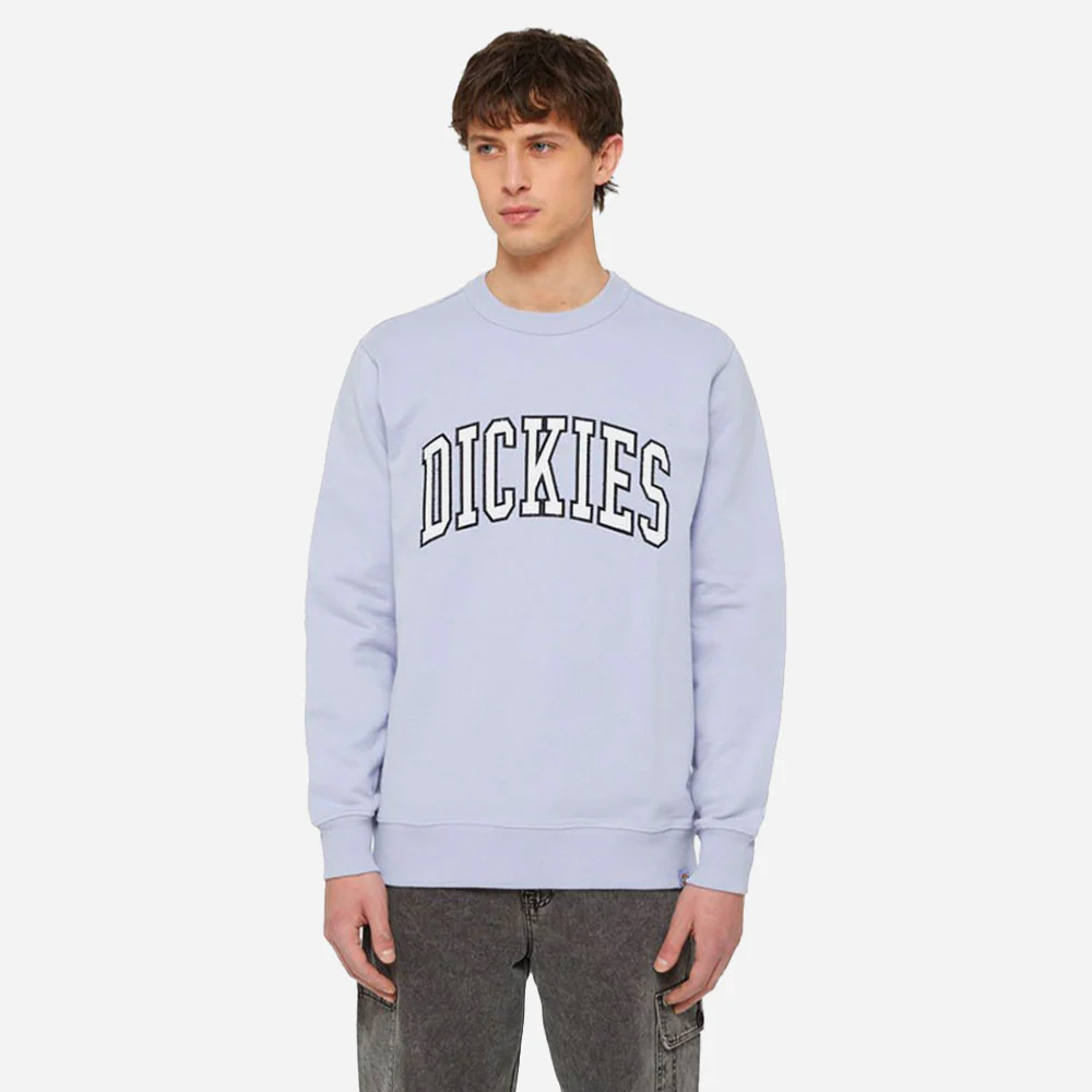 DICKIES - AITKIN SWEATSHIRT - COSMIC SKY – Image 4