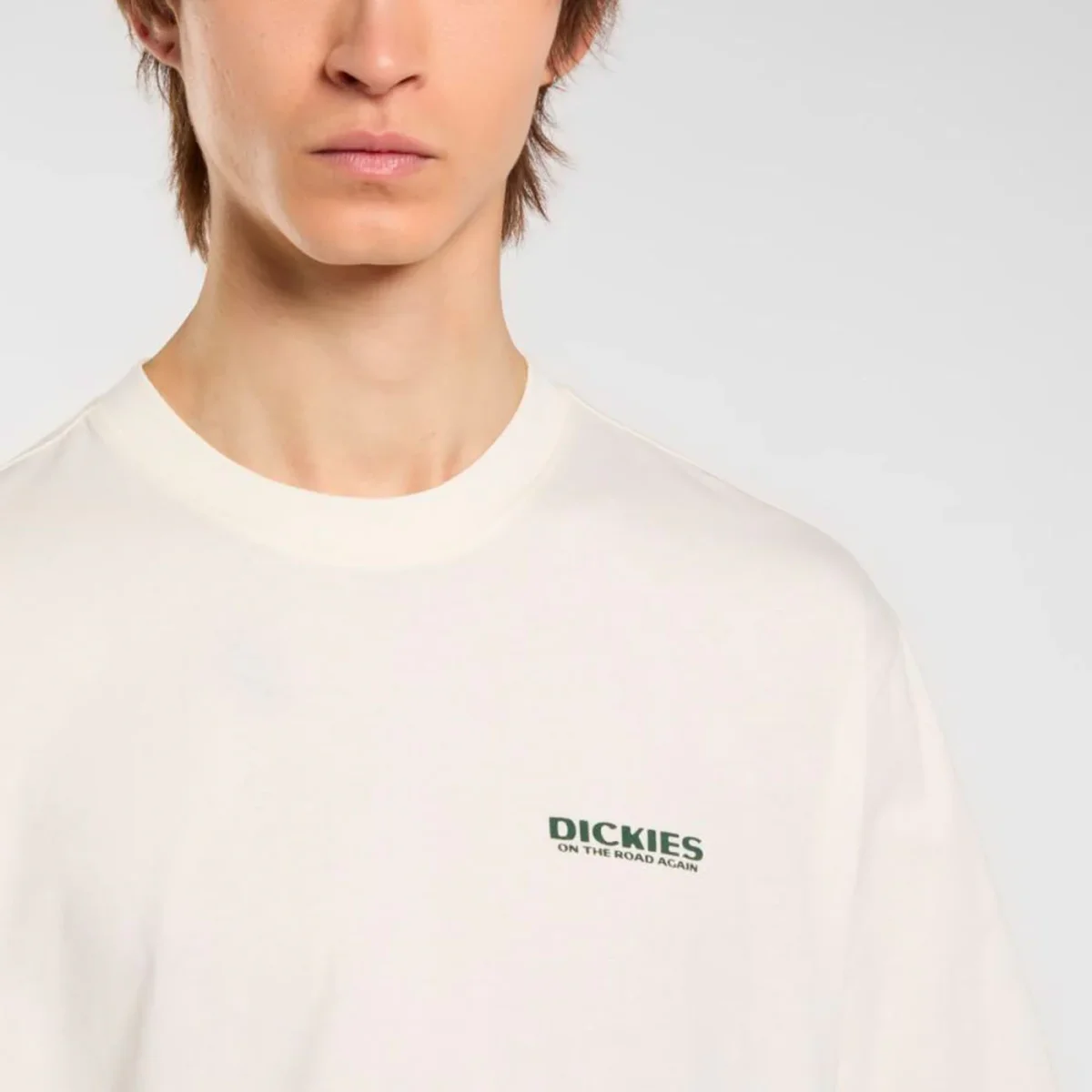 Dickies - BURNS TEE SS - Egret – Image 6