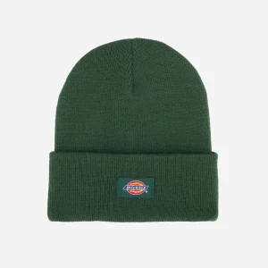 Dickies - Gibsland Beanie - Pine Needle