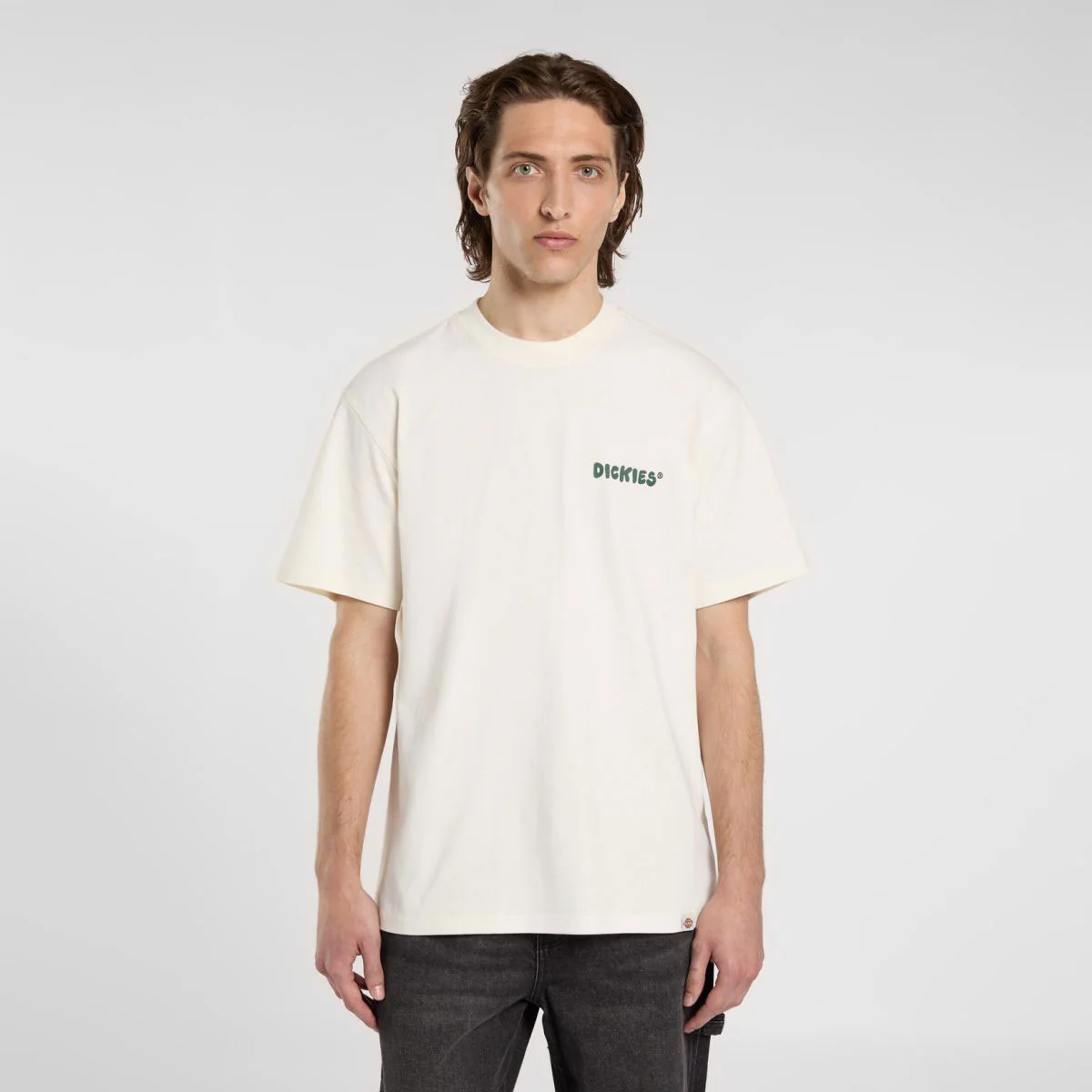 Dickies - Gordonsville Tee SS - Egret – Image 5