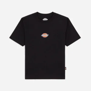 DICKIES - MAPLE VALLEY REG TEE W - Black