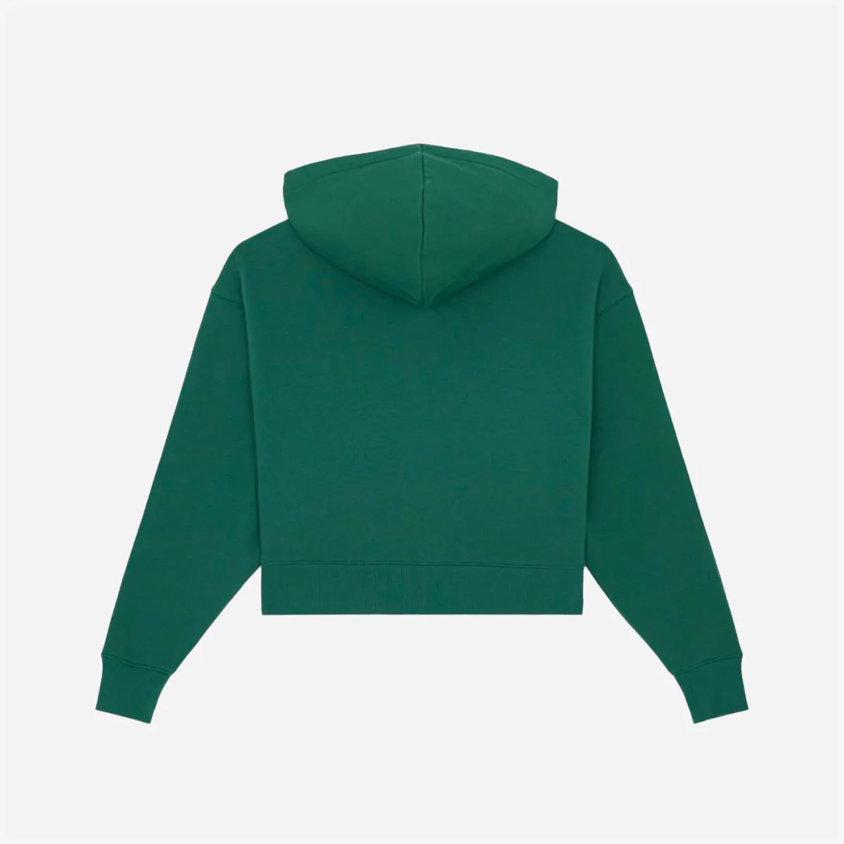 DICKIES - W OAKPORT ZIP HOODIE - Pine Needle – Image 4