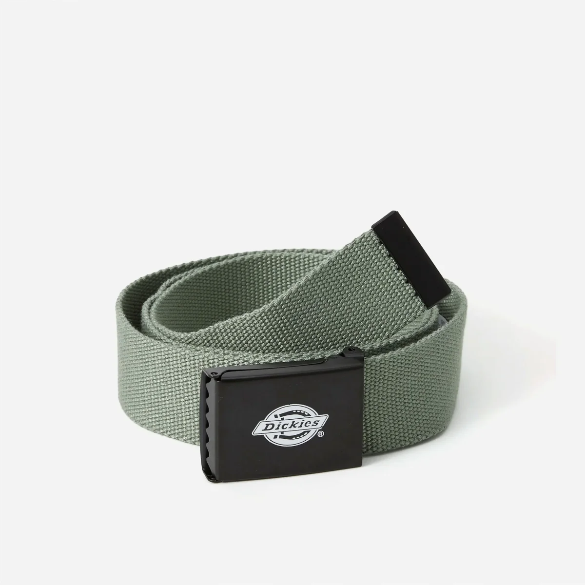 Dickies - Orcutt Webbing Belt - Sea Spray