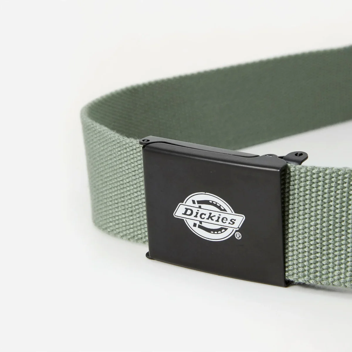 Dickies - Orcutt Webbing Belt - Sea Spray – Image 4