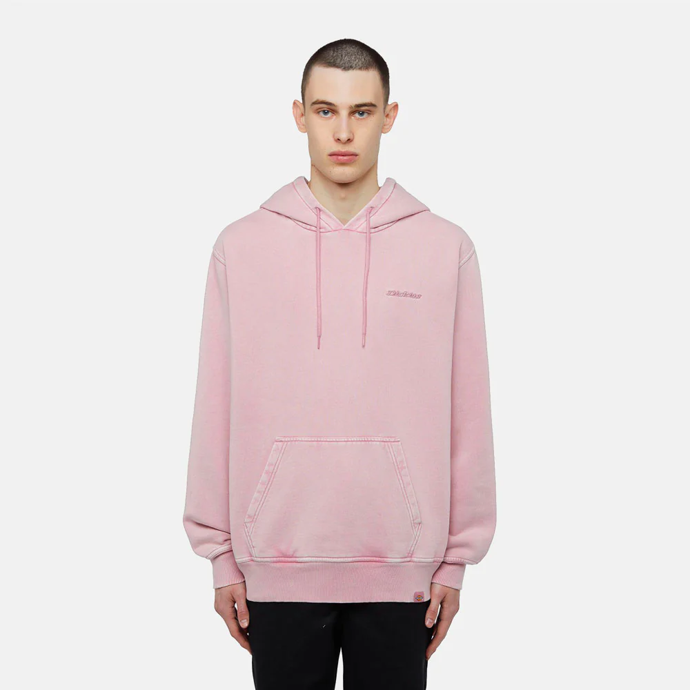 DICKIES - PLENTYWOOD HOODIE - LILAS – Image 3
