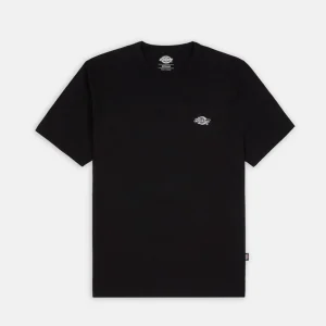 DICKIES - SUMMERDALE TEE SS - BLACK