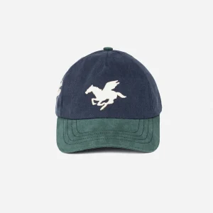 Casquette Goodies Sportive - 3D Pegasus Washed Green / Blue