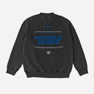 Sweatshirt Goodies Sportive Pegasus Series - Black Fadeout