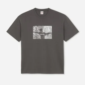 POLAR - TEE SUSTAINED DISINTEGRATION - Graphite