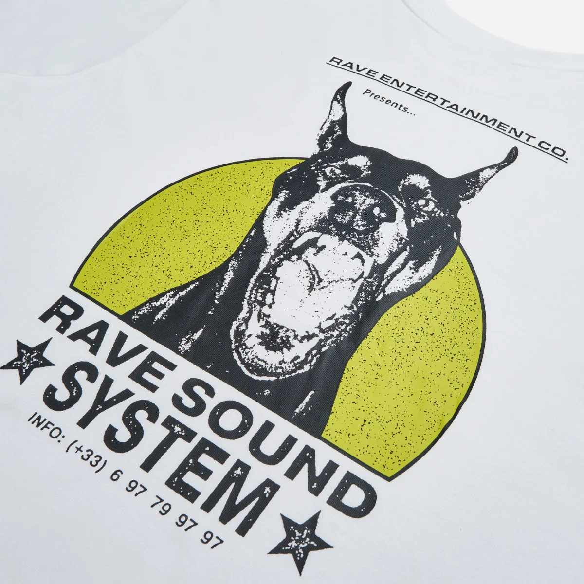 RAVE SKATEBOARDS - RSS TEE - White – Image 4