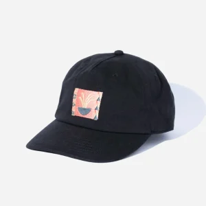 RHYTHM - SPRIGS LIFE CAP - Black