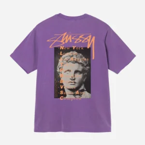 STUSSY - STATUE PIG DYED TEE - Purple