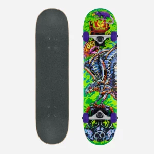 Tony Hawk Skateboards - 360 Signature Series "toxic" Complete