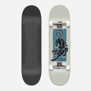 TRICKS - TIGER COMPLET SKATEBOARDS